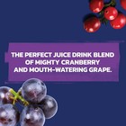 Ocean Spray Cran Grape Juice Drink 10 Fl Oz Bottles 6 Pack Cranberry Grape