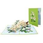 Pop Up Greeting Card White Daisy Field Blooming Flower Birthday Thank You Gift