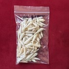 Mixed Lot Vintage Estate Small  Medium   Large Size Seashells  Craft