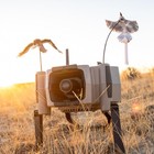 Foxpro X360 American Made Electronic Predator Call Remote Operated And Progra   