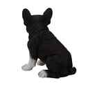Sitting Black French Bulldog Puppy Dog - Life Like Figurine Statue Home Garden