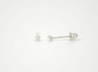 Cz Stud Earring Round Cut In 14k White Gold Screw Back