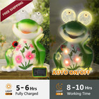 Astraeus Solar Frog Statue Garden Light Figurine Outdoor Decor Frog 