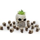 Mini Skull Figurine Miniature Skeleton Head Table Decor halloween Micro Lands   