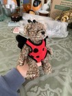 Ty Attic Treasures Bugsy Ladybug Bear Plush 6089 Ages 3  3-4 4-7 8-11 Years