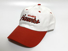 Atlanta Hawks Tremors3 Dad Cap - Burt Gummer    Gift Idea For Tremors Fan
