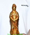 10 2  old Tibet Tibetan Bronze Gilt Guanyin Kwan-yin Bodhisattva Buddha Statue