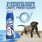 Lysol Pet Odor Eliminator Spray 15oz  pack Of 3 