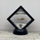 Spinosaurus Extinct Dinosaur Juvenile Tooth Fossil In Case With Toy