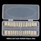 Kilgore Nissin 200 Type 28pcs Teeth Replacement Dental Model Typodont Screw-in