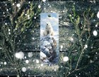 Polar Bear  Handmade  Metal Bookmark  Choice with Tassel free Shipping  Gifts