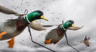 Deadly Decoys Drake Mallard Flyer Decoys -3 Pack Decoy