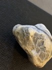 Rock Fossil - From Pacific Northwest - Quartz
