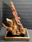 Stunning 100  Yr Old Burl Wood Root Sculpture     One-of-a-kind Natural Art Piece