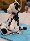 Jellycat Bashful Calf Authentic Medium 12  - Black White Cow - Nwt W Dustbag 