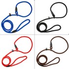 Nylon Strong Training Slip On Rope Puppy Dog Pet Leash Lead No Collar Needed Usa