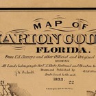 Map Of Marion County Florida - Palatka To Gainesville -  Vintage Reprint Poster