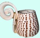 Carved Shell Souvenir Cup From Key West