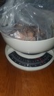 Elongated Pressed Penny Bulk-3 5 Lbs 