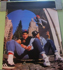 Beastie Boys Poster 1987 Original Winterland Productions Rock Express Skateboard