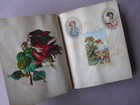Antique Victorian Album W Scraps Florals Girls Animals Dated 1879 30 Pgs