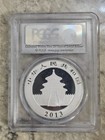 2013 China 1 Oz 10 Yn Pcgs Ms69  999 Silver Panda First Strike