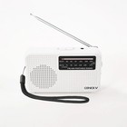 Mini Am Fm Radio Battery Operated With Lanyard Black Portable Pocket Radio