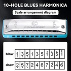 Conjurer 10hole Diatonic Harmonica Blues Harmonica Key C Blues Harp Mouth Organ