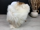 Xxl Unique White Brown Sheepskin Rug Pelt Genuine Real Seat Cover Hide