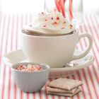 Ghirardelli Peppermint Hot Cocoa Mix Packets - 16count Box  exp  02 2025 