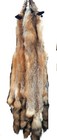 Red Fox  Tanned  October Harvested  Fur  Pelt