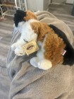 Webkinz Signature Calico Cat Stuffed Plush Ganz Wks1005 Unused Code Nwt Rare 