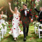 1000 Pcs Artificial Silk Rose Petals Flower Decorations For Wedding Events Party