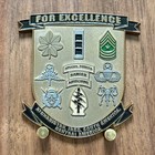 3rd Battalion 7th Special Forces Group  man In The Arena  Challenge Coin  W 3