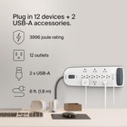 Belkin Usb Power Strip Surge Protector - 12 Ac Multiple Outlets   2 Usb Ports -