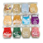 Lot  12 Scentsy Wax Melts New Used Discontinued   Mini Happy Bee Plug In Warmer