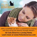  2-pack  Arm   Hammer Superior Odor Control Multi-cat Litter Clean Burst 40lb 
