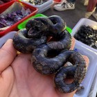 3 6  Natural Blue Mountain Stone Quartz Crystal Carved The Snake Reiki Healing