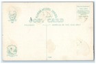 C1910 Beautiful Florida Alligator Native Wilds Swamp Fl Vintage Antique Postcard