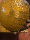 Vintage Mcm Amber Glass Globe Hanging Light Wrought Iron Scroll Swag Lamp  