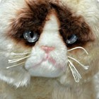 Gund Grumpy Cat Plush Meme 9 Inch Stuffed Animal Soft Toy Clear Eyes