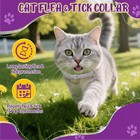 Cat Collar Flea And Tick Treatment Waterproof 8 Months Protection Odorless