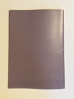 Martha Marcy May Marlene Press Booklet Program Elizabeth Olsen Sarah Paulson
