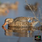 Avery Greenhead Gear Ghg Xd Series Pro Grade Mallard Duck Decoys Feeder 6 Pack