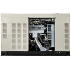 Generac Protector Series 30 000 Watt  30kw  Dual Fuel 49-state Liquid-cooled