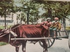 Atlanta Ga - 1905 Postcard - Horseless Carriage - Black Children On Oxcart