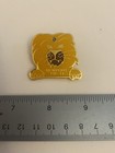 Lions Club 19e 11 Newport Lapel Pin P85