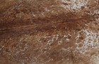 New Cowhide Rugs Area Cow Skin Leather 25 33 Sq feet  64 x57   Cow Hide U-1221