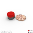 1 2 X 3 8 Inch Strong Neodymium Rare Earth Disc Magnets N52  6 Pack 