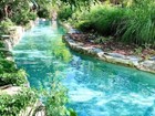 Aug 25-29th   5days 4n summer  Big Cedar Wilderness 2br Lodge Sleeps Up To 8